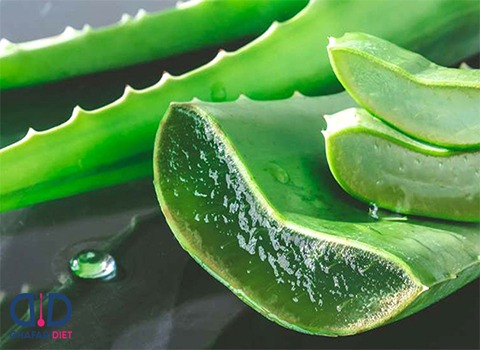 تصویر 1 از قیمت خرید ژل گیاه آلوئه ورا + فروش ویژه